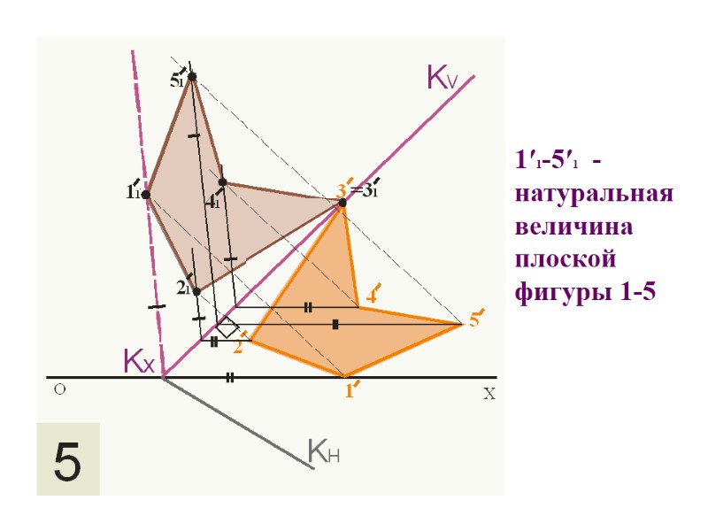 1′1-5′1  - натуральная величина плоской фигуры 1-5